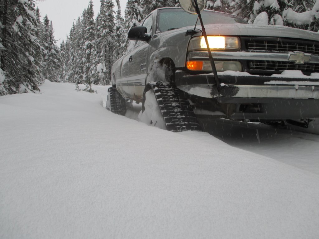 detailed snow